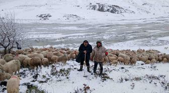 Tipi vurdu heyelan yolu kapattı, 2 çoban ve yaklaşık 650 küçükbaş hayvan yaylada mahsur kaldı