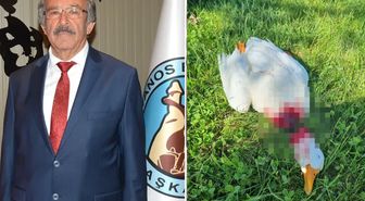 Kızılırmak kıyısında vahşet! Belediye başkanı görünce çıldırdı