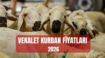 DİYANET VEKALET KURBAN FİYATLARI 2026: Vekalet kurban yurt içi ve yurt dışı hisse bedeli ne kadar?