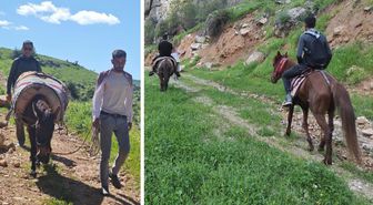 Sabah ezanıyla yola çıkıyorlar, katırlarla 3 saat gidip topluyorlar