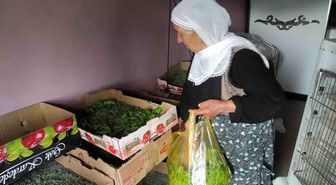 Batman'da 72 aileye ipek böceği larvası dağıtıldı