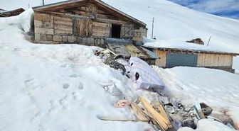 Çamlıhemşin yaylalarında ayı paniği! Yayla evleri paramparça edildi