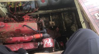 Çınarcık'ta teknenin motor bölümüne sıkışan kediler kurtarıldı