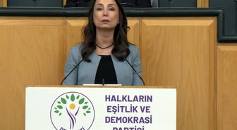 DEM Partili Tülay Hatimoğulları: Halkımızı alanlara davet ediyorum