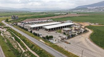 Kahramanmaraş Canlı Hayvan Borsası Kurban Bayramı’na hazır