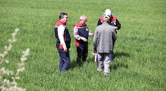 Sivas'ta çiftçiler sarı pas hastalığına karşı uyarıldı