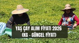 YAŞ ÇAY ALIM FİYATI 2026 (KG - GÜNCEL FİYAT) Yaş çay alım fiyatı ne kadar oldu, açıklandı mı?