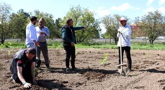 Bahçe Kültürleri Araştırma Enstitüsünden aronya çalışması
