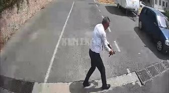 Otobüsü durdurup kaplumbağayı ezilmekten kurtardı