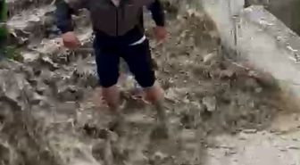 Güvenlik Görevlisi Kedi Kurtardı