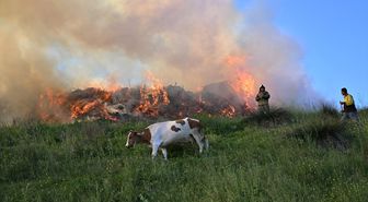 Ümraniye'de boş arazide çıkan yangına müdahale ediliyor