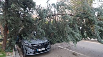 Ankara'da şiddetli rüzgarda devrilen ağaçlar nedeniyle 2 araç hasar gördü