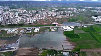 Bali değil Sivas, pirinç değil hububat tarlası