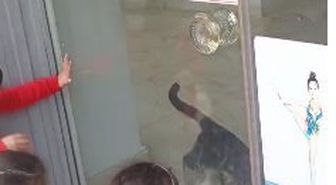 Çorum'da mahsur kalan kedi öğrenciler sayesinde kurtarıldı