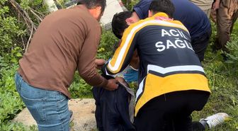 Şemdinli'de minibüs yoldan çıktı: 3 yaralı