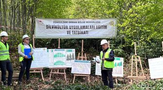 Silvikültür eğitim tatbikatı Yenice'de tamamlandı