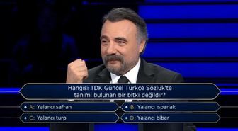 TDK’da yalancı safran, yalancı ıspanak, yalancı turp, yalancı biber var mı? Hangisi TDK Güncel Türkçe Sözlük'te tanımı bulunan bir bitki değildir?