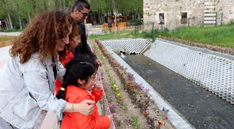 Van Gölü'nde İnci Kefali Üreme Yolculuğunda