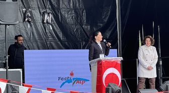 İsviçre ve Fransa'da yaşayan binlerce Türk vatandaşı festivalde buluştu