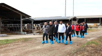 Kurban Bayramı öncesi hayvancılık işletmelerinde inceleme