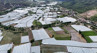 Amasya'da seralar ve tarım arazileri sular altında kaldı