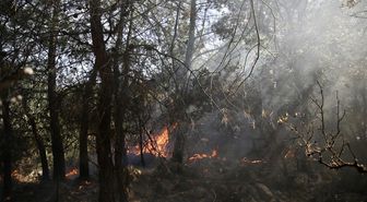 Fethiye'de çıkan orman yangını korkuttu