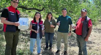 Ve 'samuraylar' göreve başladı