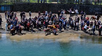 Trabzon'da yaylalara göçü temsil eden 'Mayıs 7'si Festivali' yapıldı