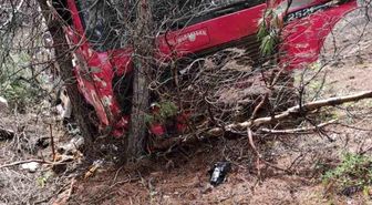 Yoldan çıkan vinç ormanlık alana daldı