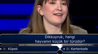 Dikkuyruk, hangi hayvanın küçük bir türüdür, Dikkuyruk köpek mi, kertenkele mi, akrep mi, ördek mi?