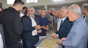 Mardin'de susuz tarlada ilk arpa hasadı yapıldı, çiftçiye gram altın hediye edildi