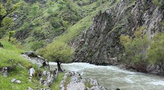 Muş'ta Köprüden Düşen Kadın İçin Arama Çalışmaları Sürüyor