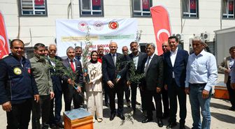 Adıyaman'da çiftçilere zeytin fidanı ve arılı kovan desteği