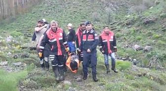Mantar toplarken ayı saldırısında yaralandı