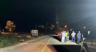 Tokat'ta otomobilin koyun sürüsüne çarpması sonucu 5 koyun telef oldu