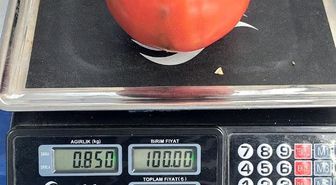 Aydın'da 850 gramlık domates pazarda ilgi gördü