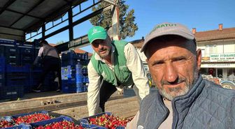 İznik'te mevsimin ilk karabodur kirazı hasadı başladı