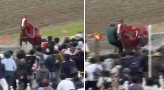 Japonya'da festivalde at kalabalığın arasına daldı: 6 yaralı