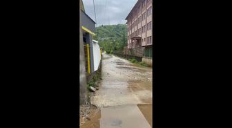 Rize'de Şiddetli Yağmur Su Baskınlarına Neden Oldu