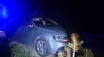 Seyir halindeki otomobile geyik çarptı: 2 yaralı