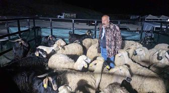 Elazığ'da kurban pazarında uykusuz mesai: Geceyi hayvanlarının başında geçiriyorlar