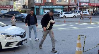 Kayseri'de acemi kasaplar hastaneye koştu