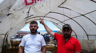 Kurbanlıklar alıcı buldu, yetiştirici bayrama mutlu girdi: 'Dedikleri fiyata verdik, milleti kurbansız göndermedik'