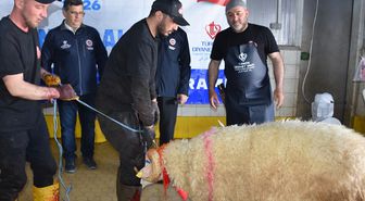 TDV, Afyonkarahisar'da 450 Kurban Hissesini Dağıtacak