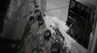 Bayburt'ta köye inen aç ayı kurdun tavşanı kovaladığı noktada yiyecek aradı