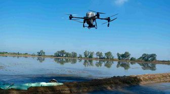 Dron ile çeltik ekimi