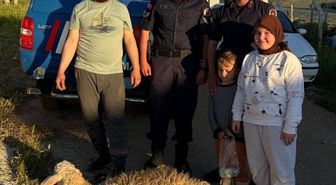 Kırşehir'de kaçan kurbanlık koyunu jandarma yakaladı