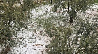 Manisa'da şiddetli sağanak ve dolu hayatı olumsuz etkiledi