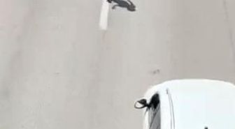 Canını hiçe sayarak akan trafikte böyle yürüdü