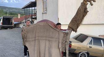 Manisa'da 135 yıllık 'Kukla Deve' geleneği yaşatılıyor